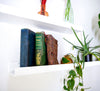 Powder Coated Industrial Steel Floating Shelf Ledge - (Colors: Black | White | Gold) (Sizes: 24" 36" & 48") Industrial Steel (USA) diycartel 