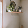 Industrial Forged Steel Angled Shelf Brackets - 2 Pack (Size: 12") Industrial Steel (USA) diycartel 